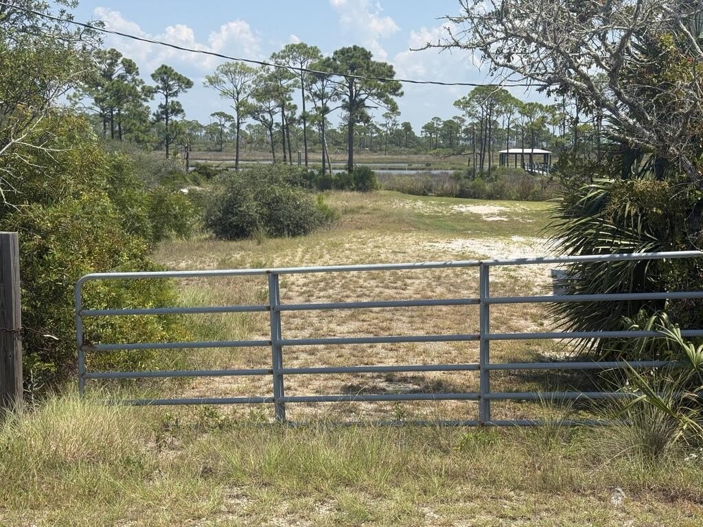 Picture 10