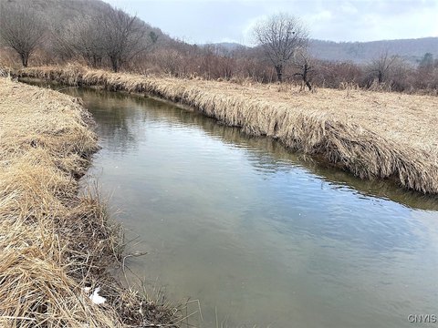 71 Acres Hunting Land with Cabin