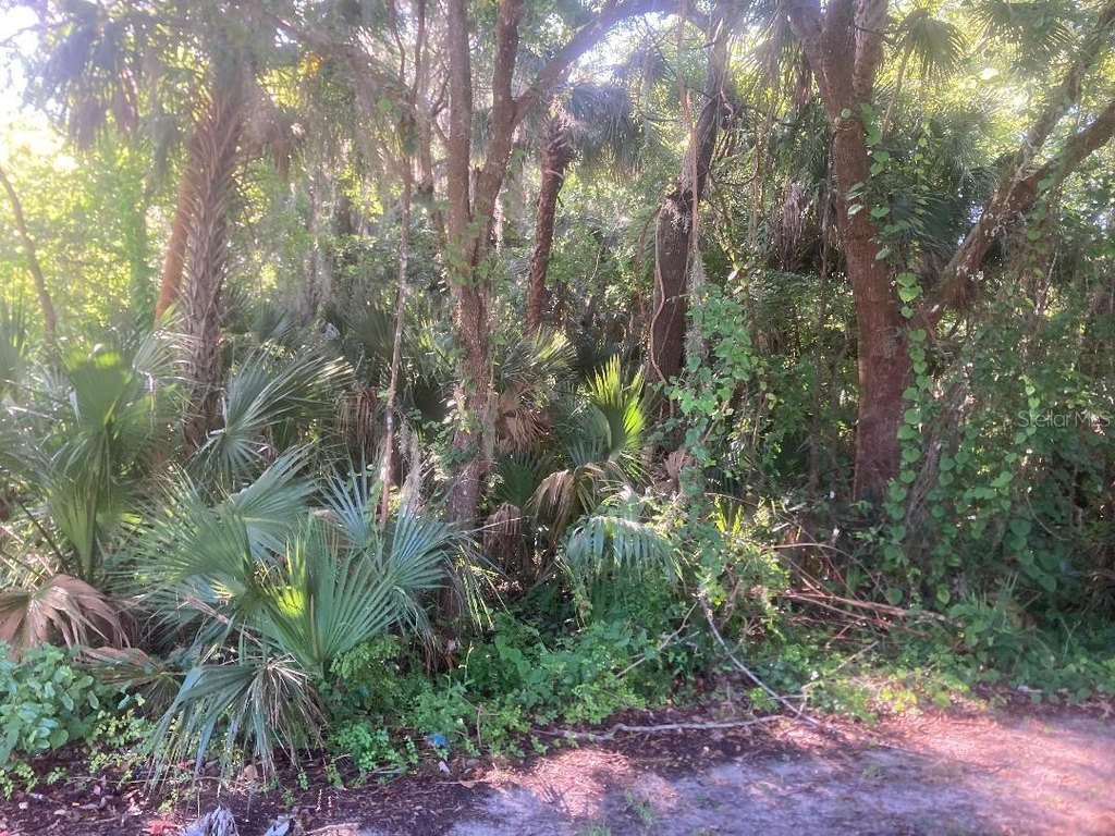 Picture 3