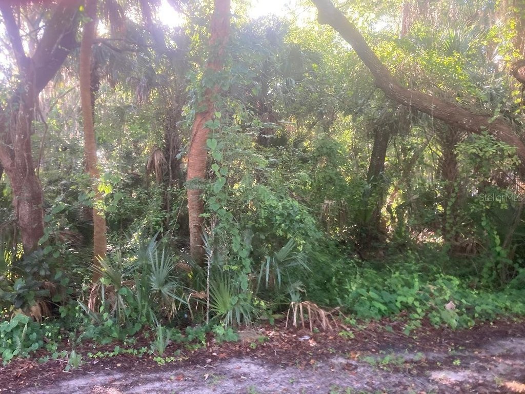 Picture 2