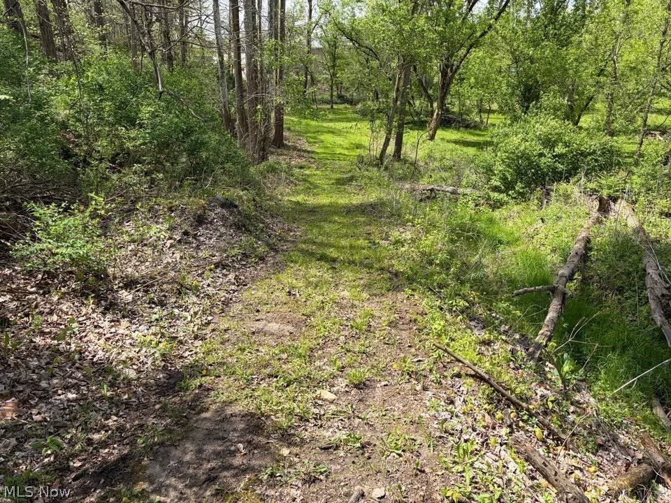 Picture 6