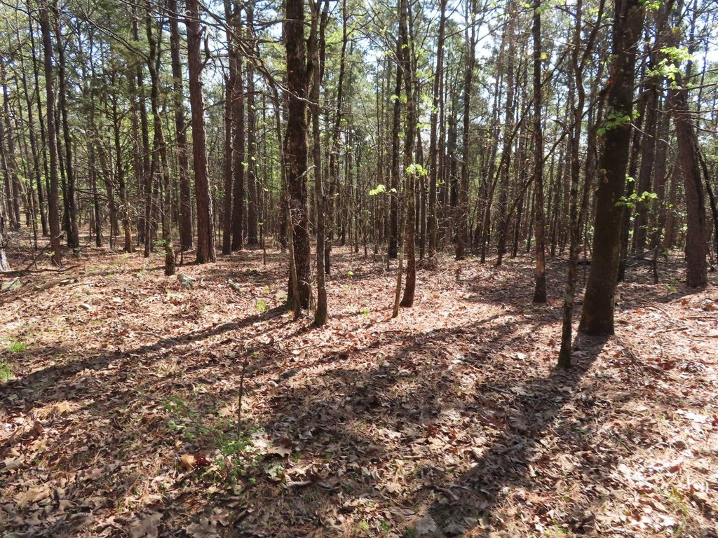 Picture 3