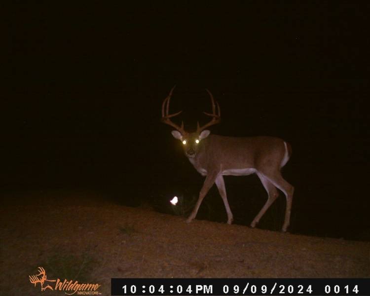 Picture 12