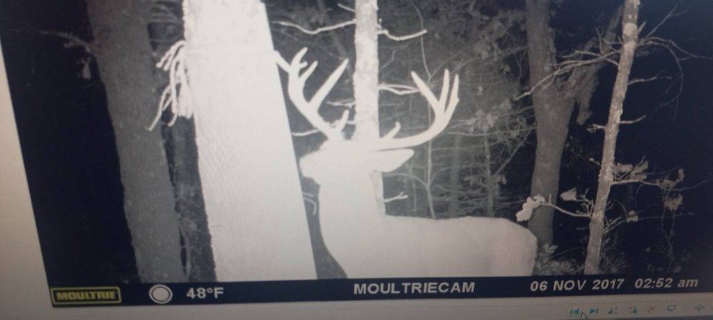 Picture 14