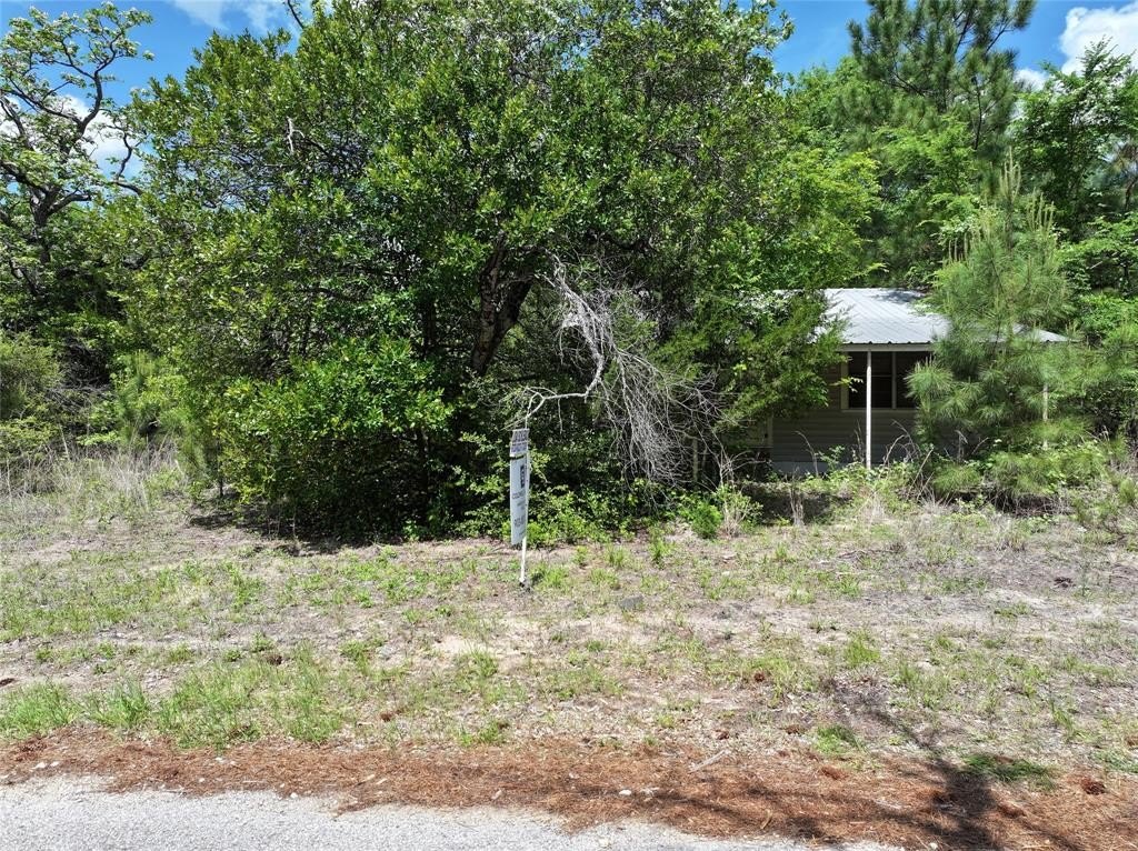 Picture 9