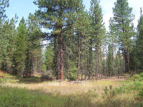 End-of-Driveway Development Parcel