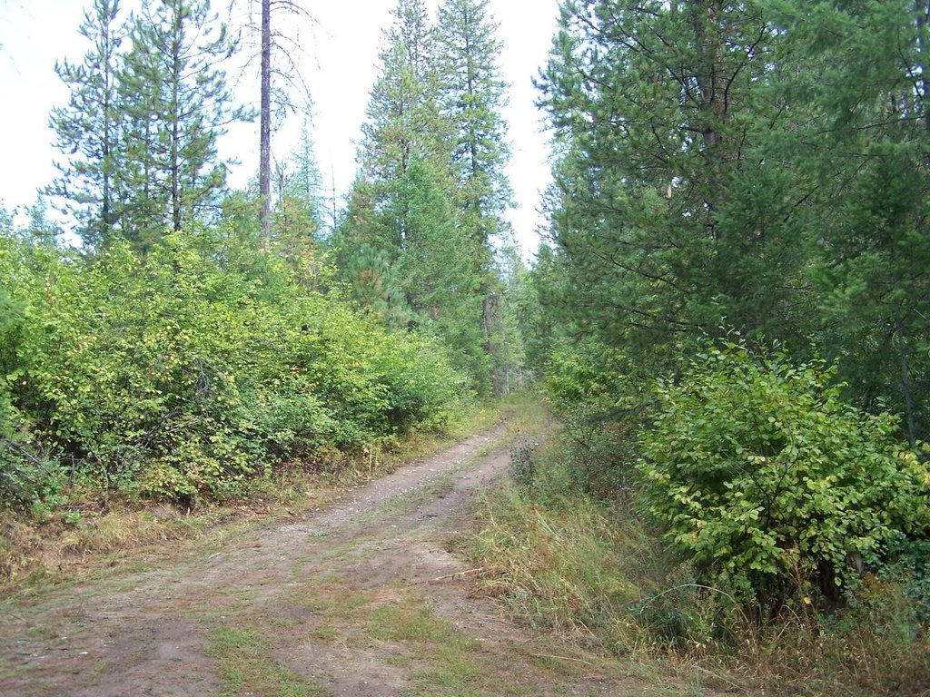 Picture 6