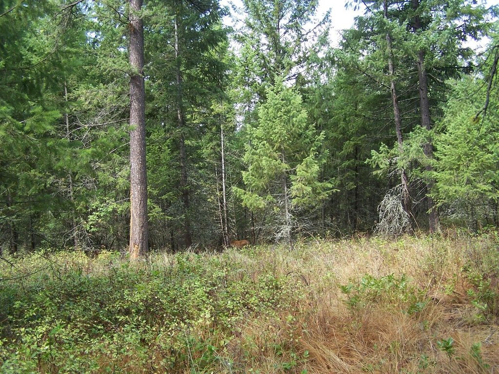 Picture 3