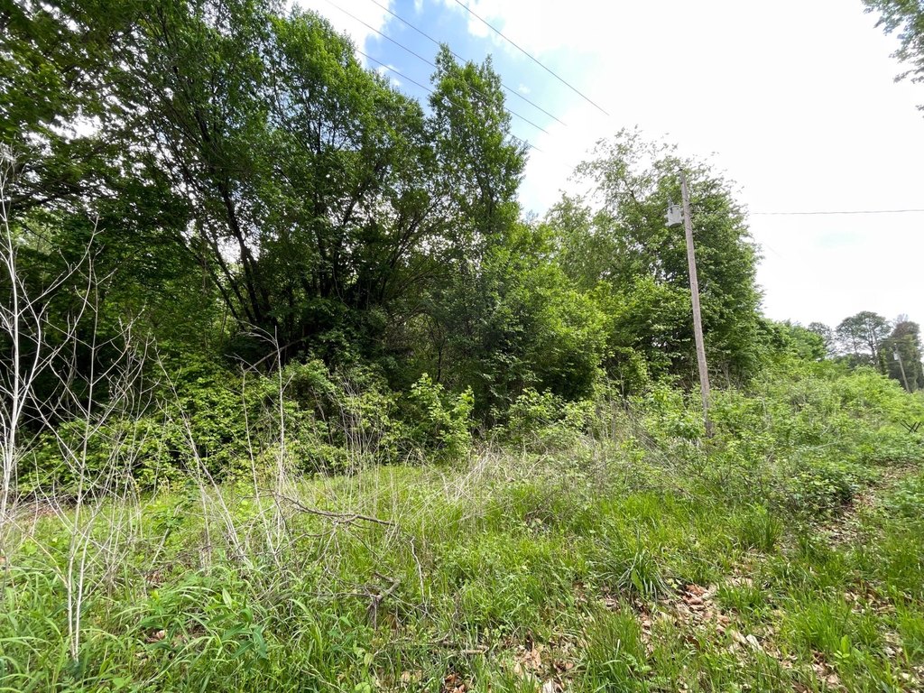 Picture 15