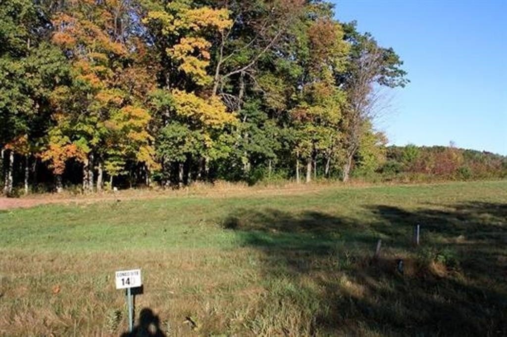 Picture 11