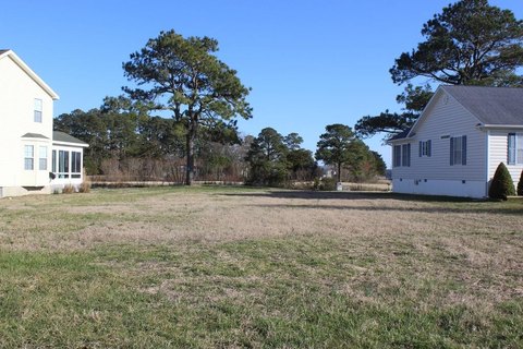 Land, GREENBACKVILLE, VA