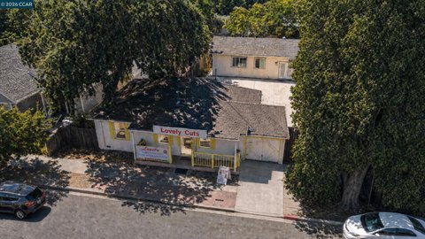 Live-Work Property with Commercial Space