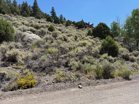 Land Near Panguitch Lake