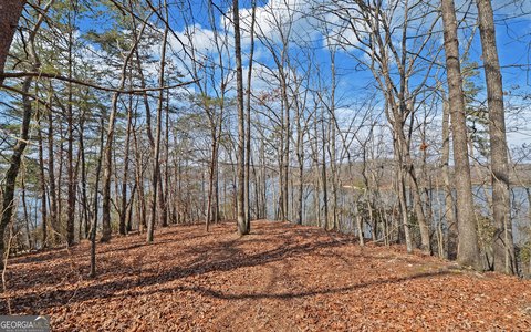 Land, Gainesville, GA