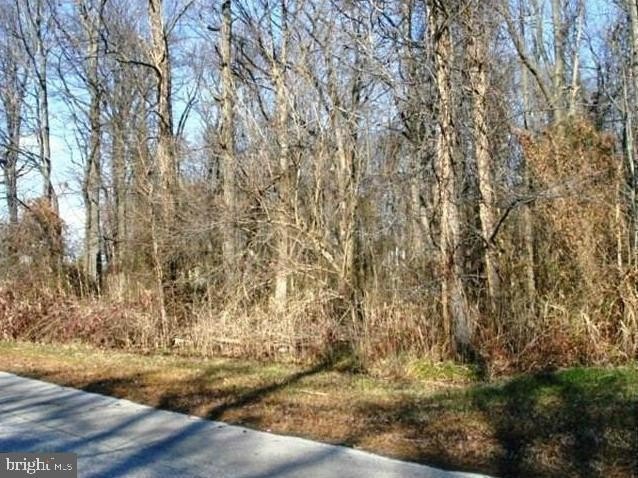 Land Near Chesapeake Bay