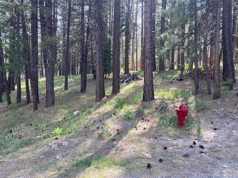 Graeagle Vacant Lot For Sale