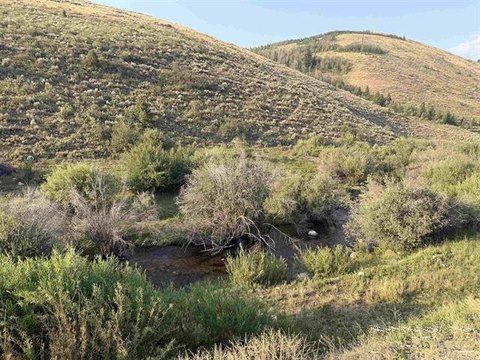 LAND - Bloomington, ID