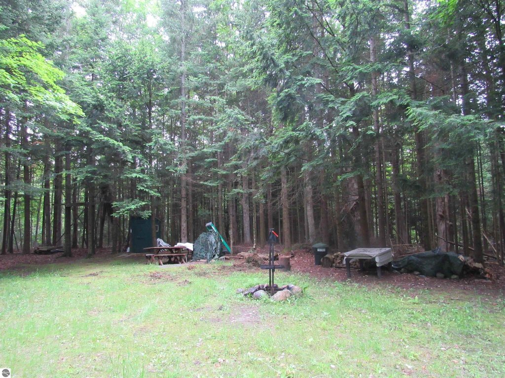 Picture 19