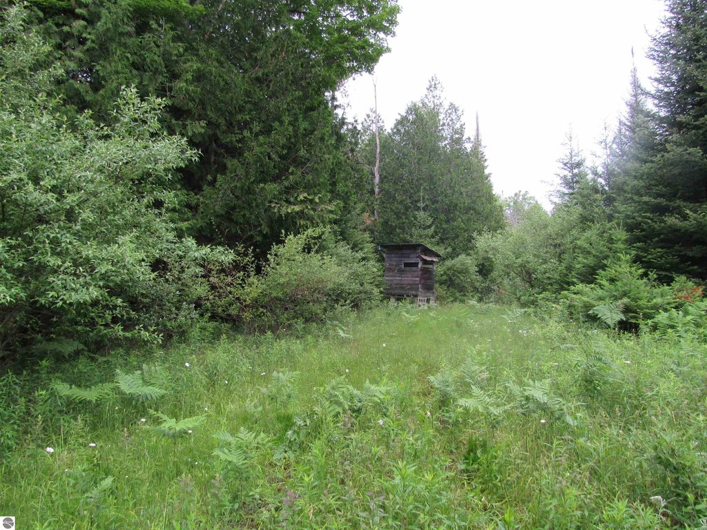 Picture 18
