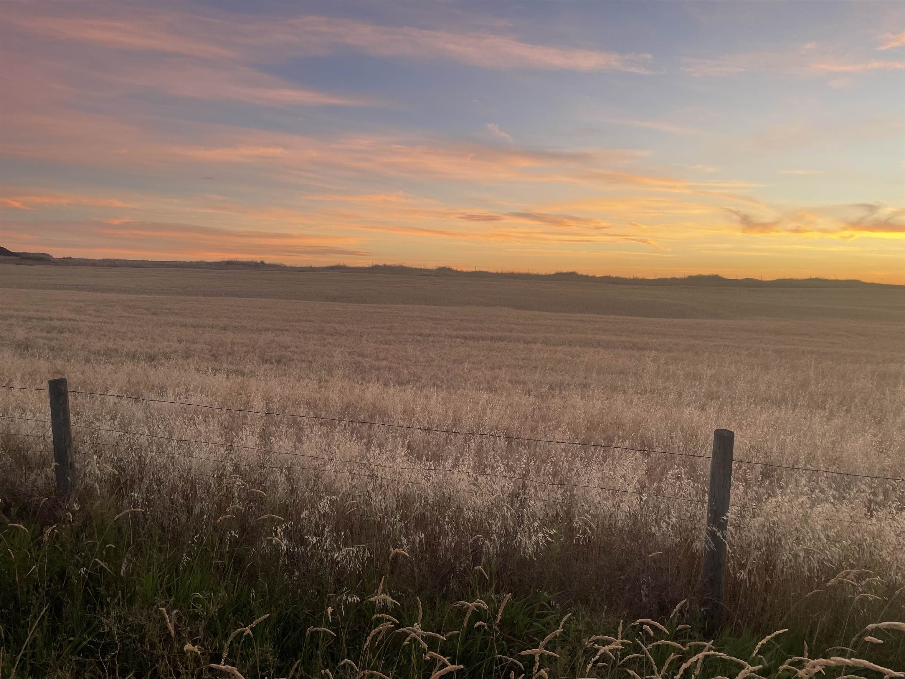 Reardan, WA: 40 Acre Land