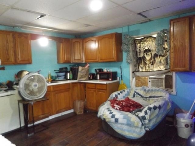 Picture 11