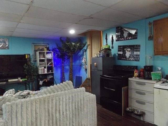 Picture 12