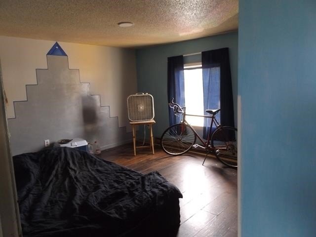 Picture 24