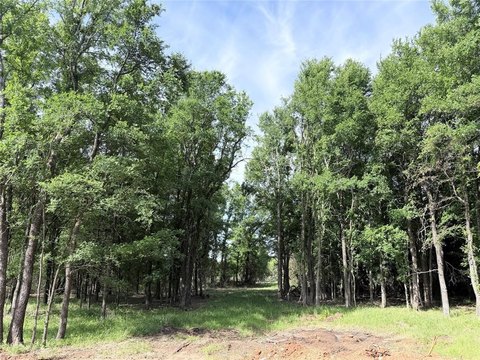 Heavily Treed Lot in Whitney