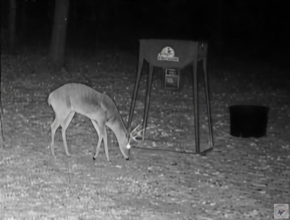 Picture 42