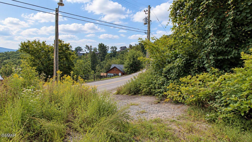 Picture 10