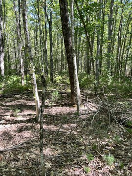 Land, Lyman, ME