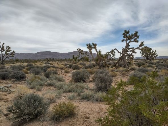 Scenic Lot with Grand Canyon Views
