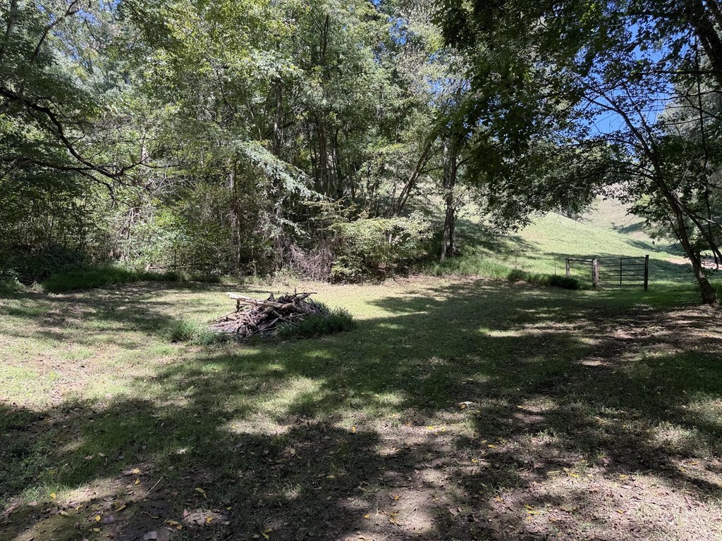 Picture 23