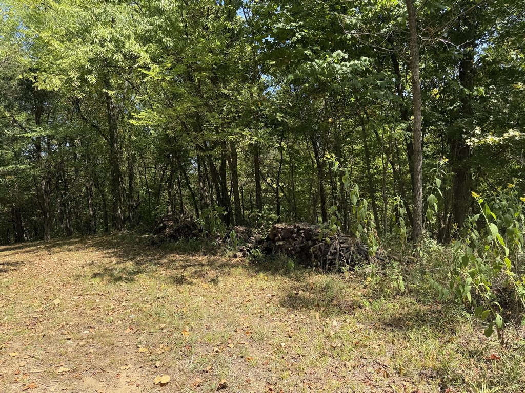 Picture 22