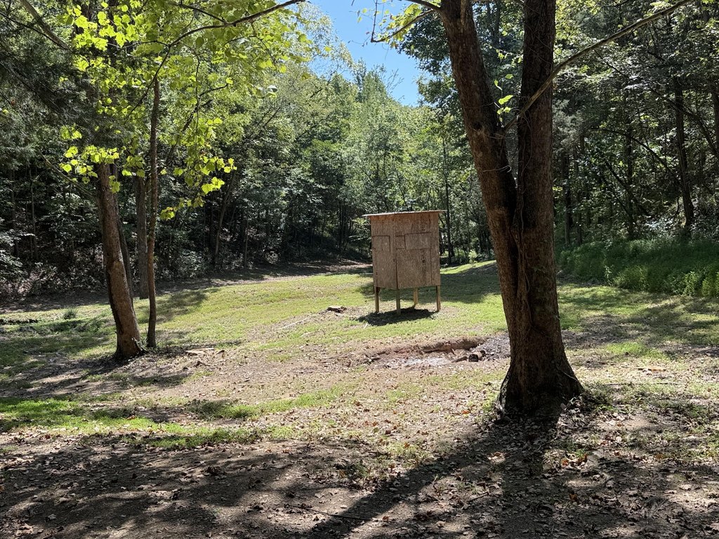 Picture 19