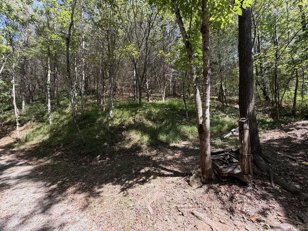 Picture 18