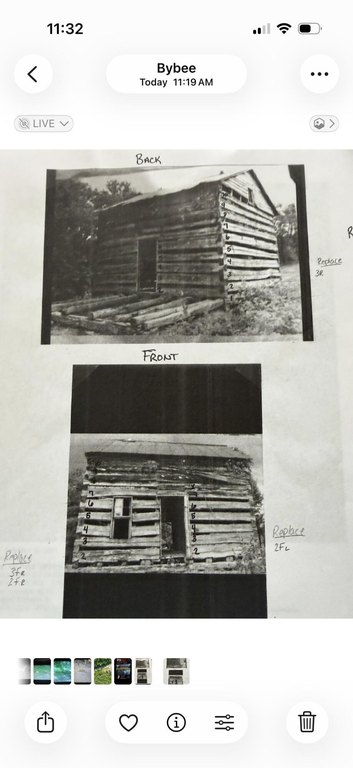 Picture 12