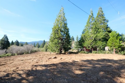 Residential Land in Mt Shasta
