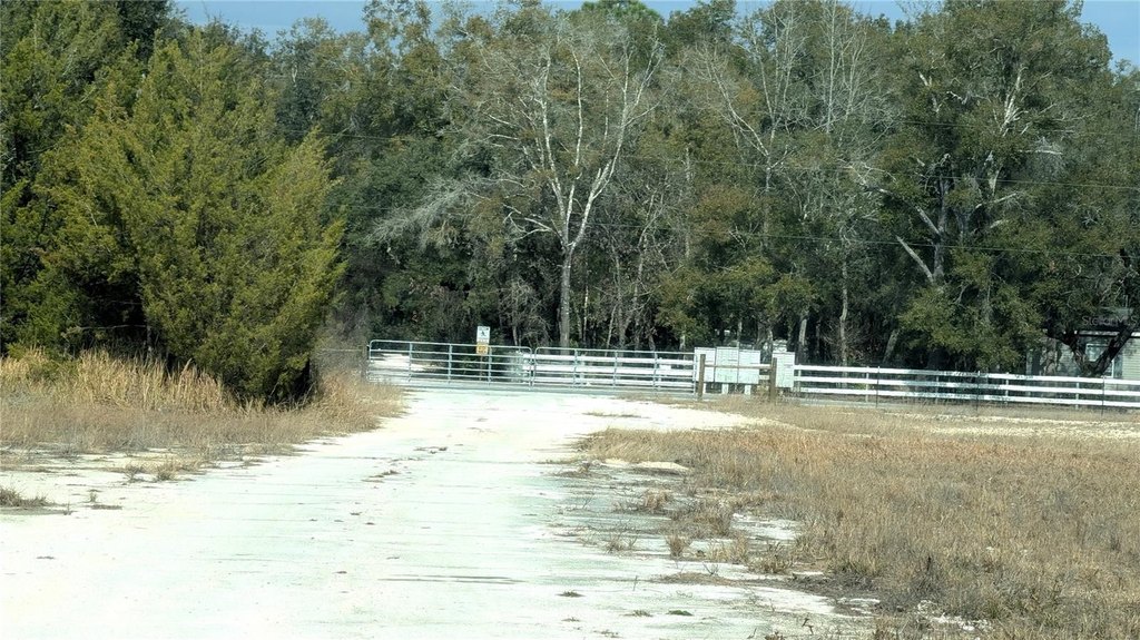 Picture 16