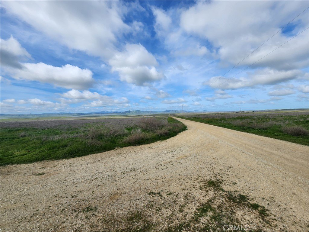 Picture 41