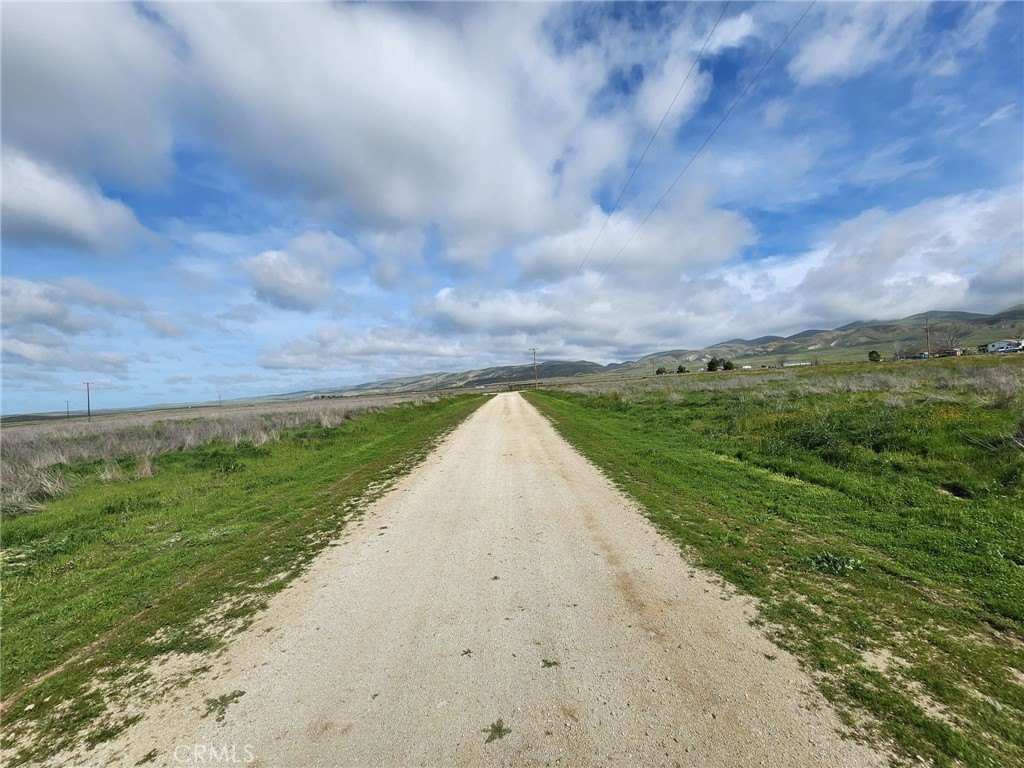 Picture 29