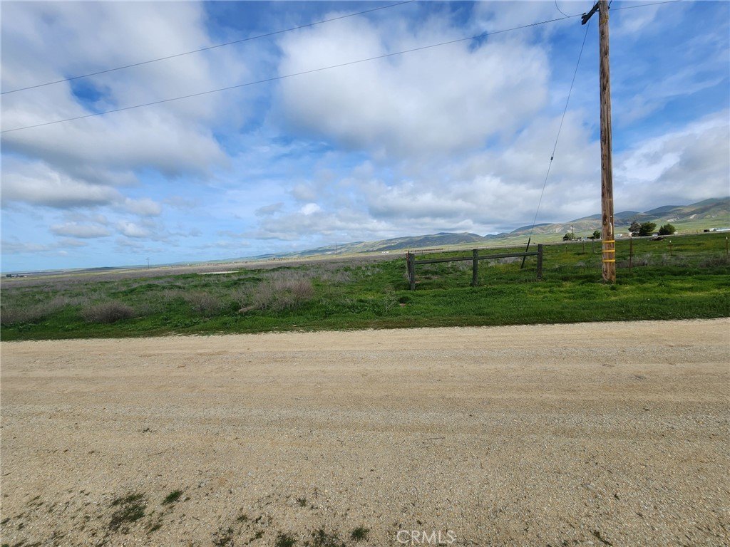 Picture 49