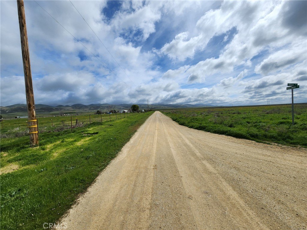 Picture 9