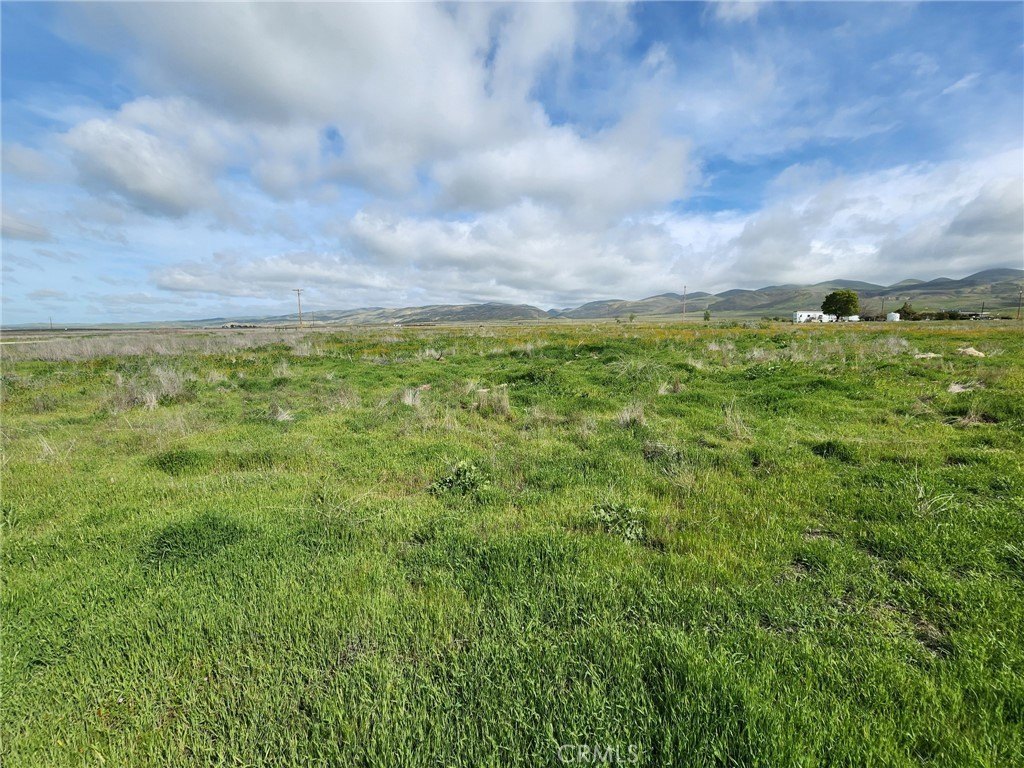 Picture 25