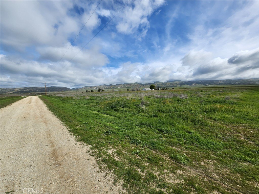 Picture 33