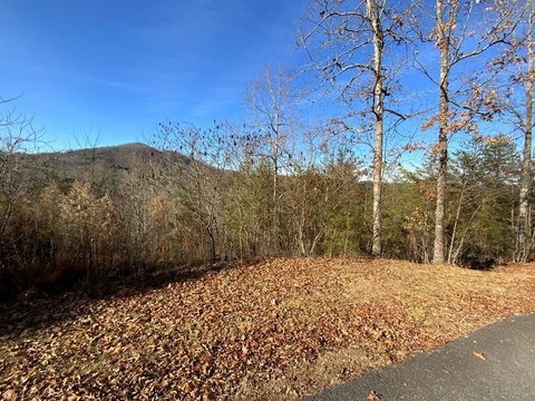 LAND - Murphy, NC