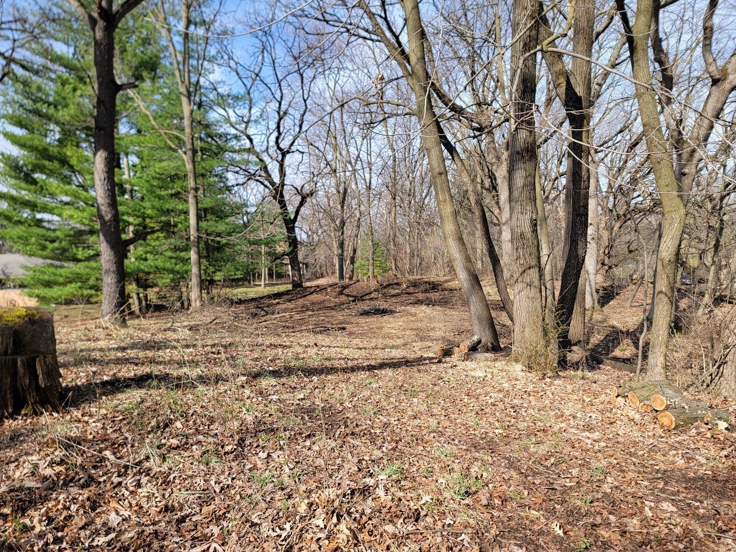 Heavily Wooded Cary Land