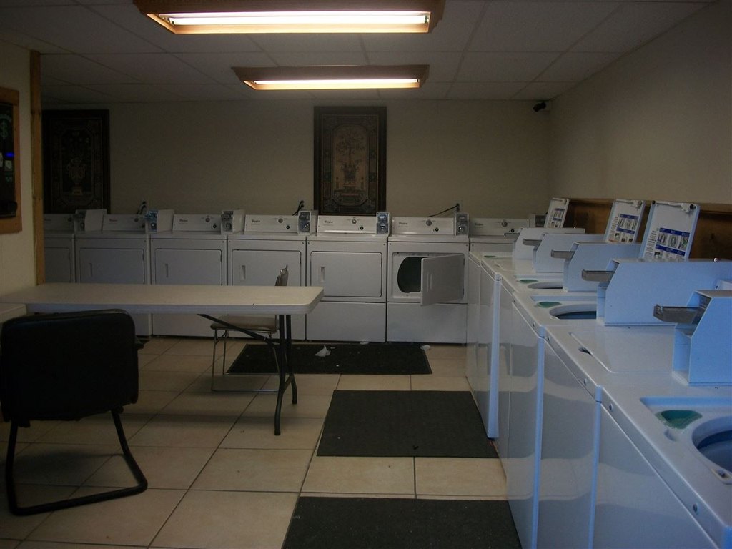 Picture 5
