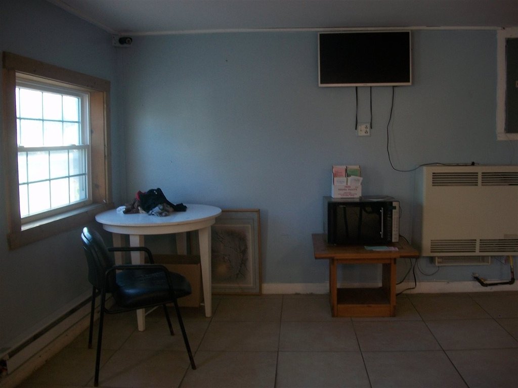 Picture 8