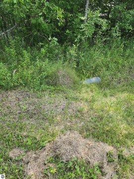 Vacant Lot/Land, Prescott, MI